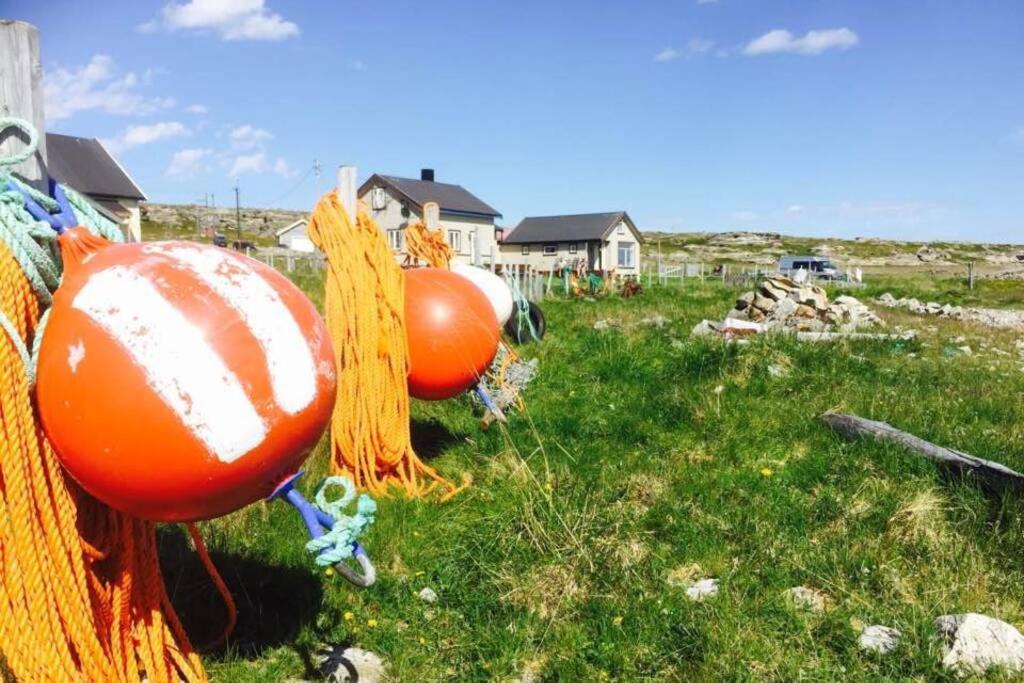Arctic House By The Sea, Vadso, Varanger Ngoại thất bức ảnh